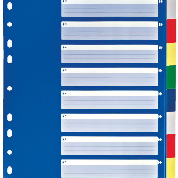 LEITZ kunststof tabbladen, blanco, A4, 10-delig, gekleurd