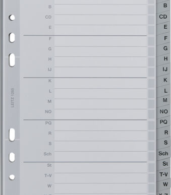 LEITZ kunststof tabbladen, A-Z, A5, PP, 20-delig, grijs