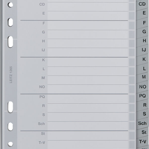 LEITZ kunststof tabbladen, A-Z, A5, PP, 20-delig, grijs