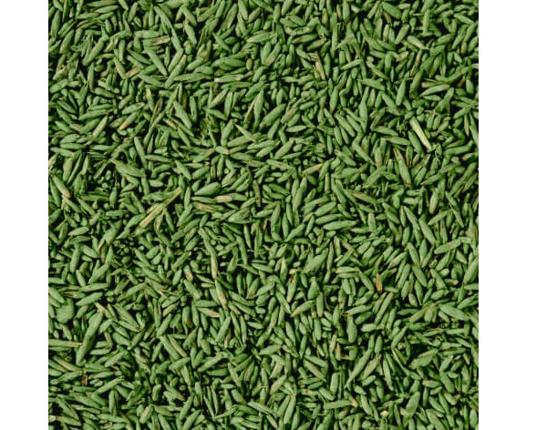 COMPO - Graszaad doorzaaien - 440 g - Voor 22 m²