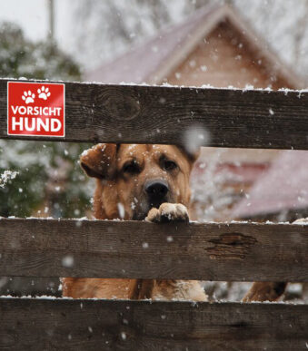 Waarschuwingsstickers 'Pas op hond'