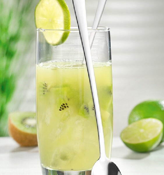 Esmeyer - Soeplepels - Set van 12 - Lengte 19,9 cm