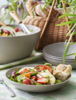 Biologische grote grijze borden van 235 mm