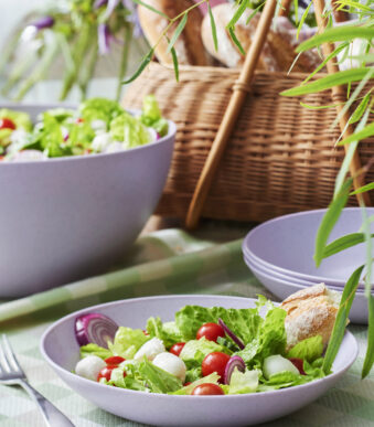 Herbruikbare borden groot bio lavendel 23,5 cm