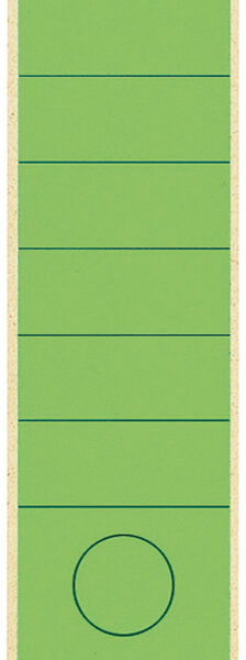 LEITZ/ESSELTE Rugetiket zelfklevend 61x285mm groen 10 st