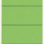 LEITZ/ESSELTE Rugetiket zelfklevend 61x192mm groen 10 st