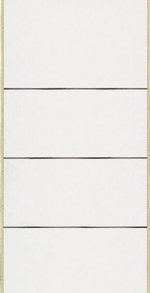 LEITZ/ESSELTE Rugetiket zelfklevend 61x192mm grijs 10 st