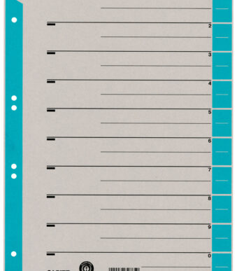 LEITZ scheidingsbladen, A4 overbreed, kraftkarton 230g/m2, blauw