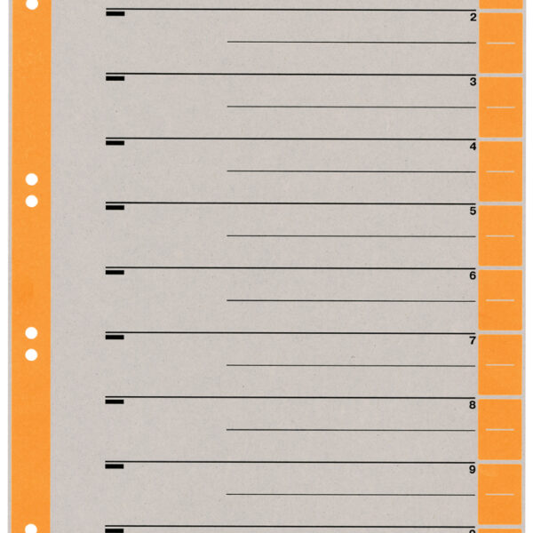 LEITZ scheidingsbladen, A4 overbreed, kraftkarton 230g/m2