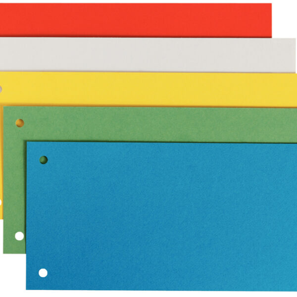 LEITZ scheidingsstroken, voor DIN A4 formaat, gesorteerd