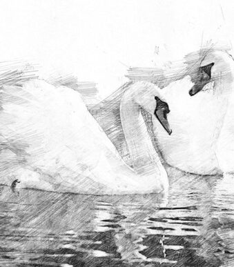 Clairefontaine kunstenaarspapier 'Croquis', DIN A4, wit, 160 g/m2