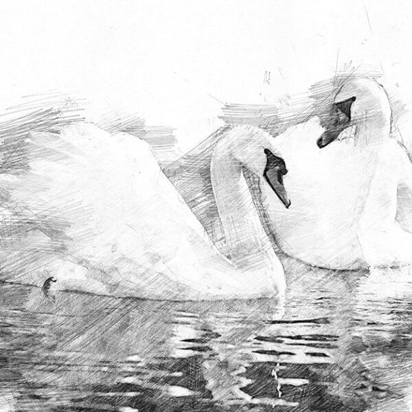 Clairefontaine kunstenaarspapier 'Croquis', DIN A4, wit, 160 g/m2