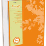 Calligraphe notitieblok Forever, A4, 100 vel, geruit