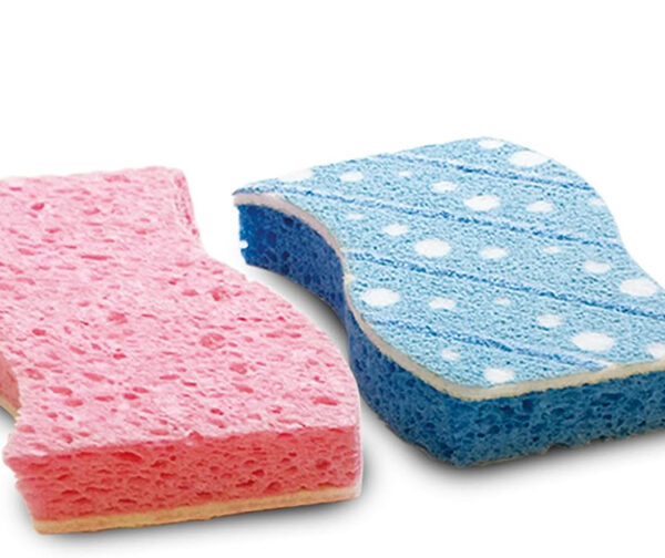 Spontex schuurspons Badreiniger, pakje van 2