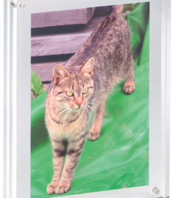 MAUL fotolijst, (B)150 x (D)24 x (H)115 mm, glashelder