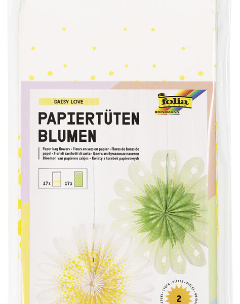 Papieren bloemen daisyliefde