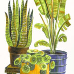 COPIC Marker ciao 'LAYER & MIX startersset', Botanic