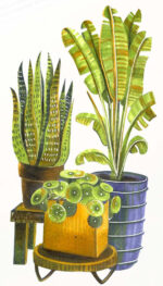 COPIC Marker ciao 'LAYER & MIX startersset', Botanic