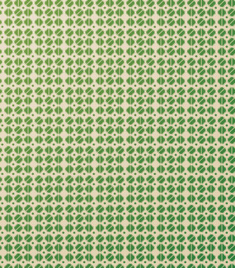 Clairefontaine geschenkpapier/inpakpapier 'Tiny Rolls vierkanten groen'