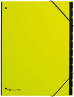 PAGNA pultordner/sorteerordner Trend, DIN A4, 12 vakken, lindegroen