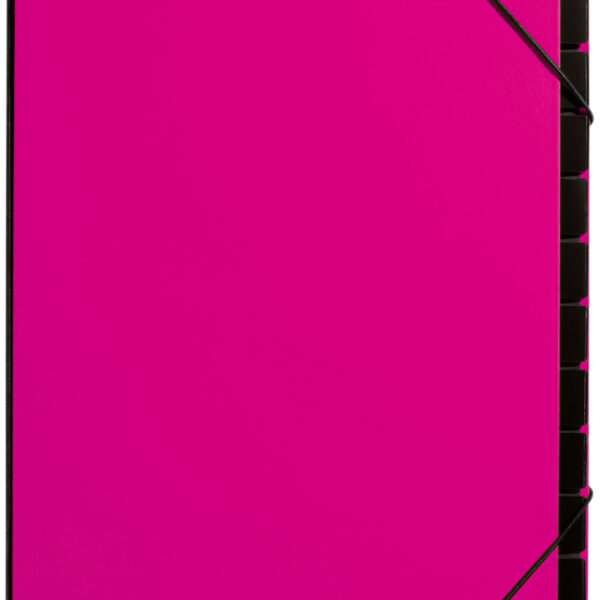PAGNA pultordner/sorteerordner Trend, DIN A4, 12 vakken, donkerrose