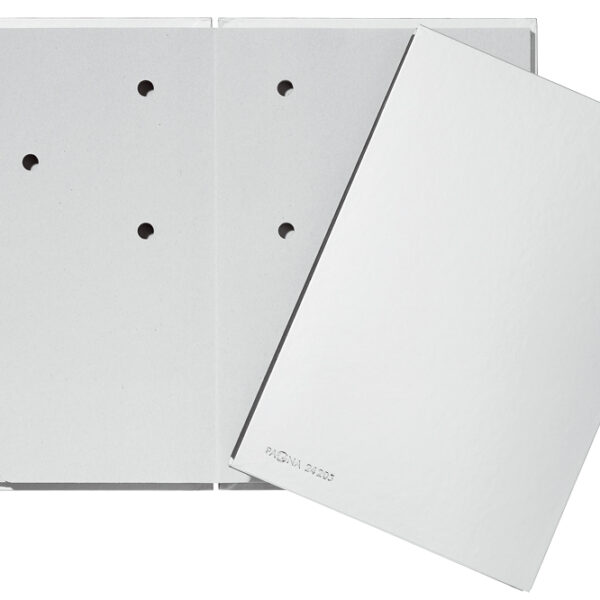 PAGNA handtekenmap/vloeiboekColor, DIN A4, 20 vakken, zilver