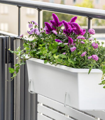 orthex plantenbak BOTANICA, breedte: 600 mm, wit