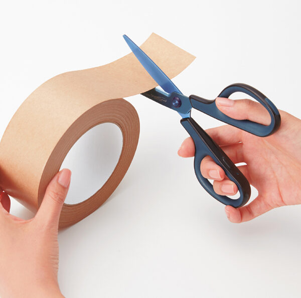 PLUS JAPAN universele schaar FITCUT CURVE titanium, blauw