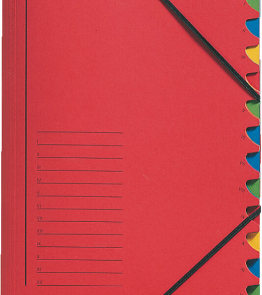 LEITZ sorteermap, DIN A4, karton, 12 vakken, rood