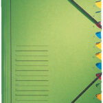 LEITZ sorteermap, DIN A4, karton, 12 vakken, groen