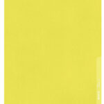 LEITZ zichthoes standaard, A4, PP, generfd, geel, 0,13 mm