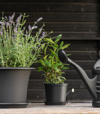 orthex gieter Splash, 5,0 liter, zwart