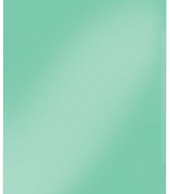 LEITZ zichthoes Super Premium, A4, PVC, groen, 0,15 mm