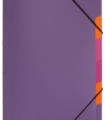 PAGNA sorteermap ´Funky School´, DIN A4, PP, 5 vakken