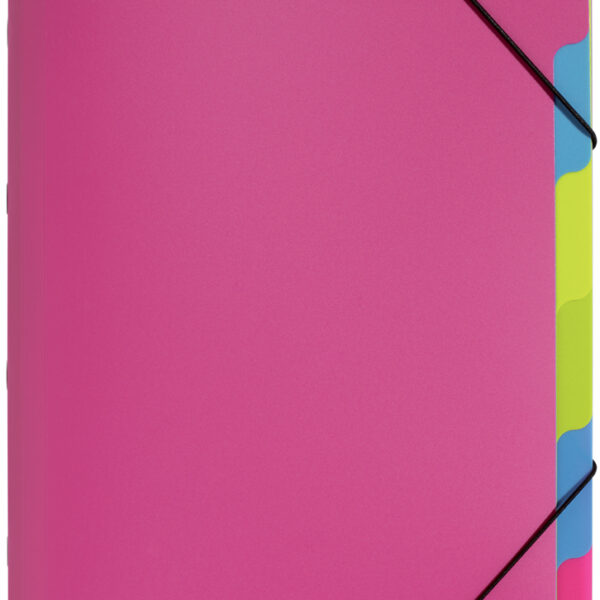 PAGNA sorteermap ´Funky School´, DIN A4, PP, 5 vakken