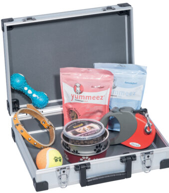 allit gereedschapskoffer ´AluPlus Basic´, grootte: L, zilver