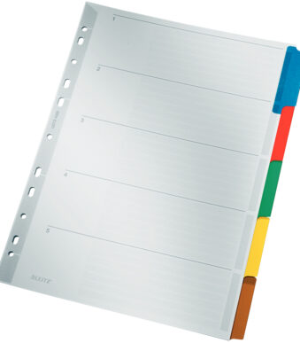 LEITZ Mylarkartonnen tabbladen, blanco, A4, 5-delig, grijs