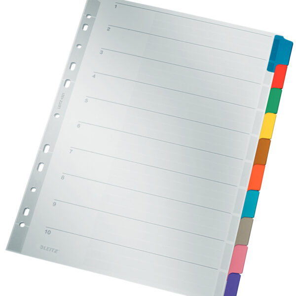 LEITZ Mylarkartonnen tabbladen, blanco, A4, 10-delig, grijs