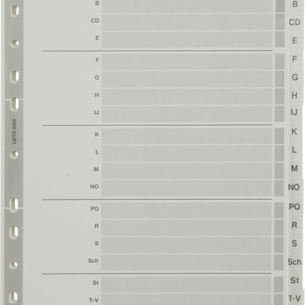 LEITZ Mylarkartonnen tabbladen, A-Z, A4, 20-delig, grijs
