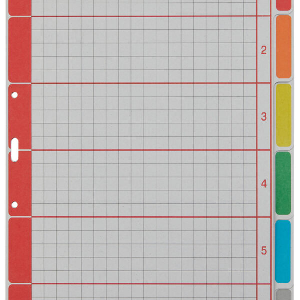 LEITZ kartonnen tabbladen extra stevig, blanco, A4, 6-delig, grijs