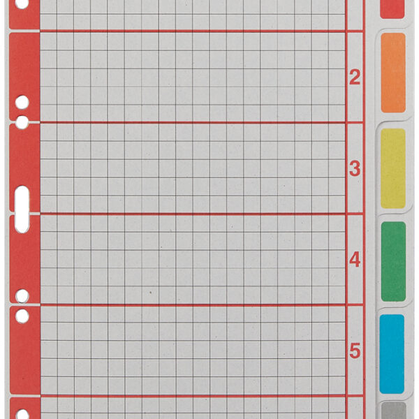 LEITZ kartonnen tabbladen extra dik, blanco, A5, 6-delig, grijs