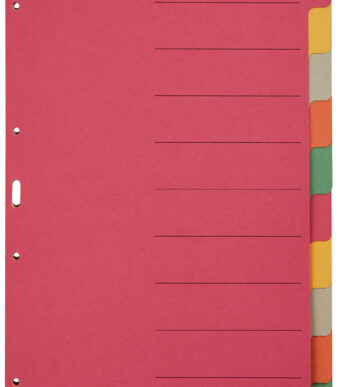 LEITZ kartonnen tabbladen extra dik, blanco, A4, 10-delig