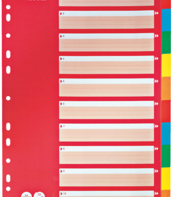 LEITZ kartonnen tabbladen, blanco, A4, 10-delig, meerkleurig