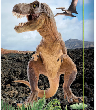 Tekenmap 'T-Rex', formaat A3