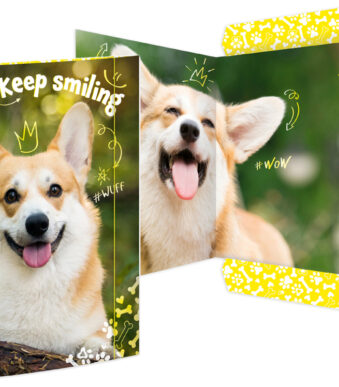 RNK Verlag tekeningenmap 'Corgi', karton, DIN A3