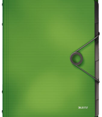 LEITZ sorteermap Solid, DIN A4, PP, 6 vakken, lichtgroen