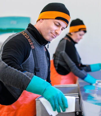 TORK industriële reinigingsdoeken, 415 x 355 mm, grijs