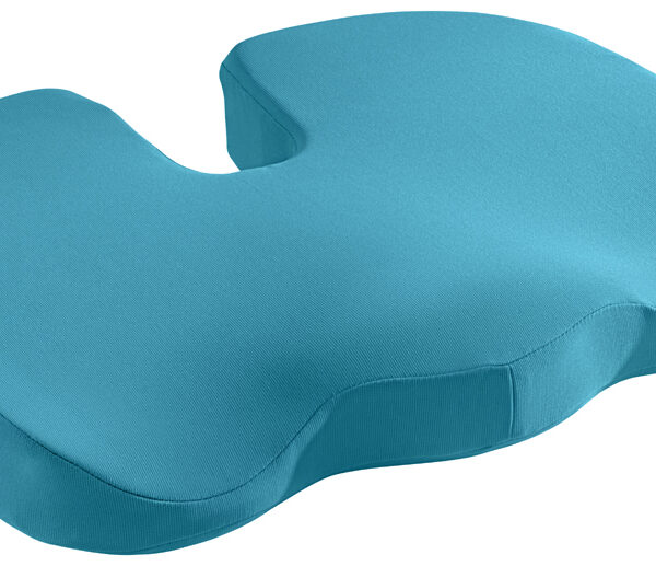 LEITZ zitkussen Ergo Cosy, blauw