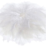 Zachte veren, 100 g, wit
