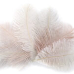 Geverfde struisvogelenveren, lengte ongeveer 170 mm